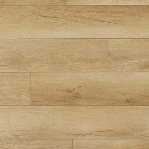 Audacity Classic Oak