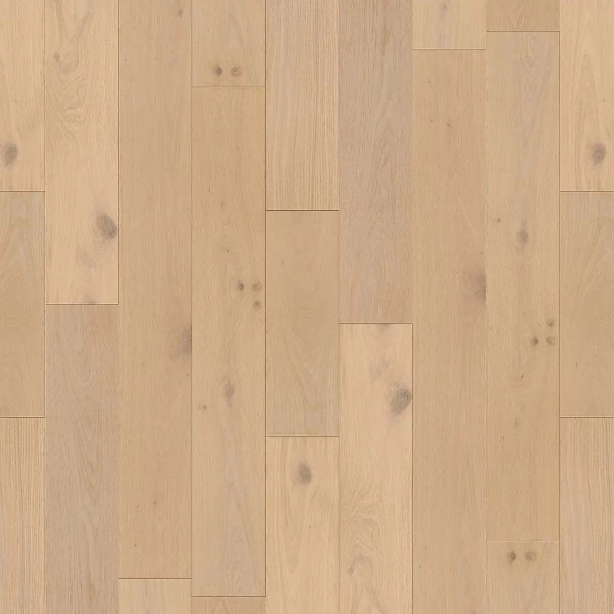 Soft Beige Oak Wood Flooring Close