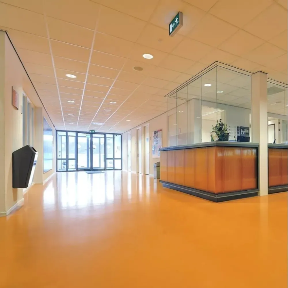Hospital Reception Area Flooring